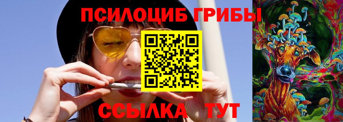Белогорск  Псилоцибиновые грибы Psilocybe  Галлюциногенные грибы Psilocybe  Вход с VPN 